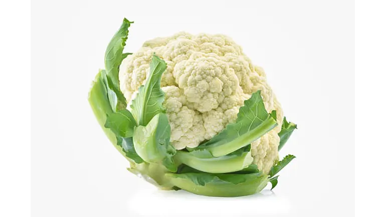 A single cauliflower head with vibrant green leaves, isolated on a white background.