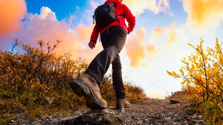 Top 10 Hiking Pants of 2024: Expert Reviews & Ultimate Guide