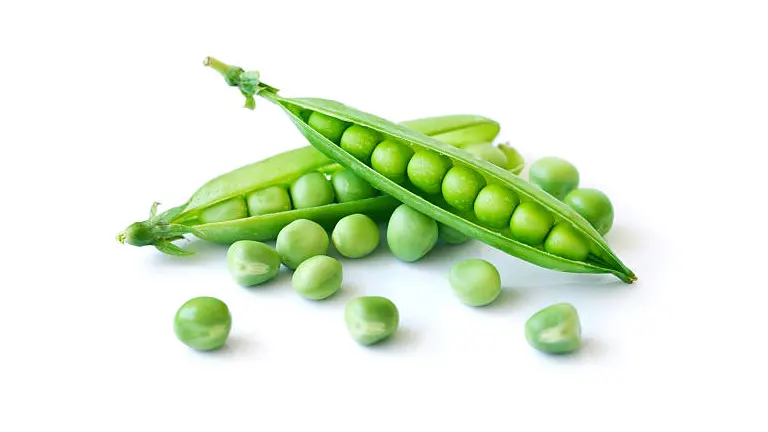 Fresh green peas in an open pod, with a few loose peas scattered around, displayed on a white background.