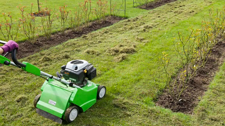 A lawn aerator machine in use on a grassy garden area, showing freshly aerated rows and soil plugs, with visible plant beds in the background.