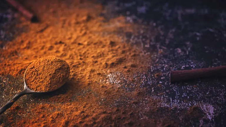 Spoonful of cinnamon powder on a dark surface with cinnamon sticks in the background, illuminated by warm light.