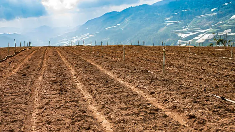 A cultivated field with evenly spaced furrows, ready for planting, set against a backdrop of rolling hills and a partly cloudy sky.
