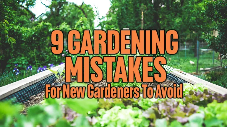 9 Gardening Mistakes for New Gardeners to Avoid