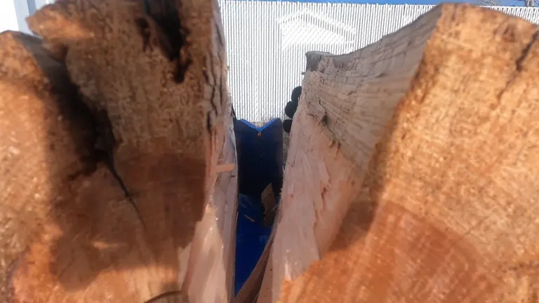 Interior view of a log split into two halves on the Bilt Hard log splitter.
