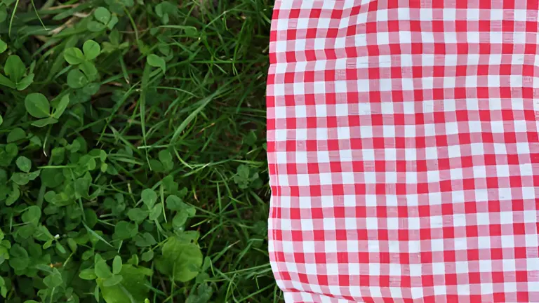 Red and white checkered picnic blanket on clover-covered ground.
