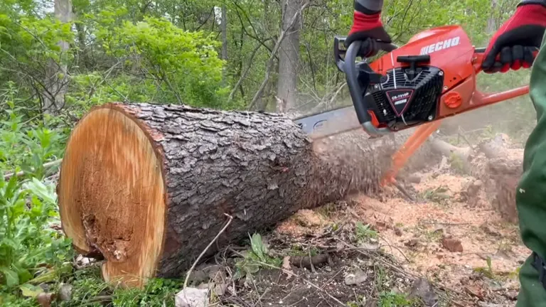 Person cutting big log using ECHO CS-7310P 