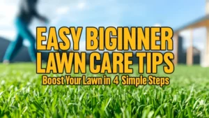 Easy Beginner Lawn Care Tips Boost Your Lawn in 4 Simple Steps