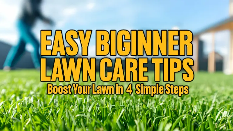 Easy Beginner Lawn Care Tips: Boost Your Lawn in 4 Simple Steps