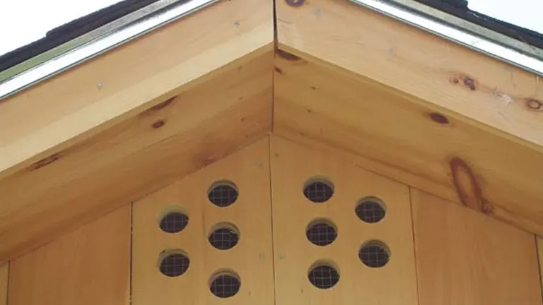 Close-up of a chicken coop's wooden wall with circular vents for air circulation.
