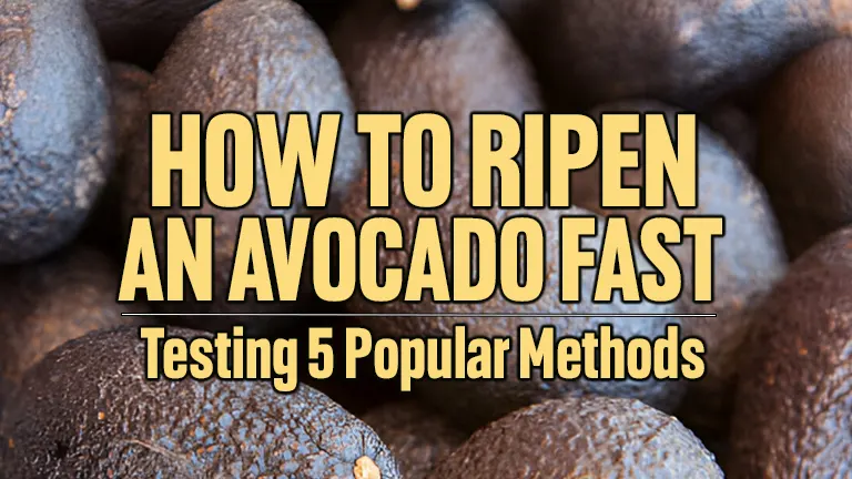How To Ripen An Avocado Fast: Testing 5 Popular Methods