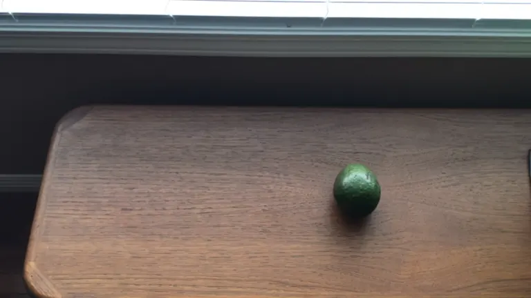 Avocado on top of a table near the windowsill.