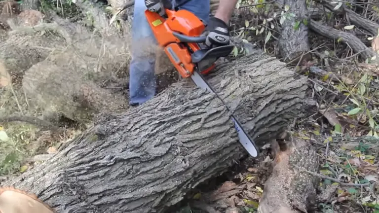 Person using Husqvarna 455 Rancher cutting big log 