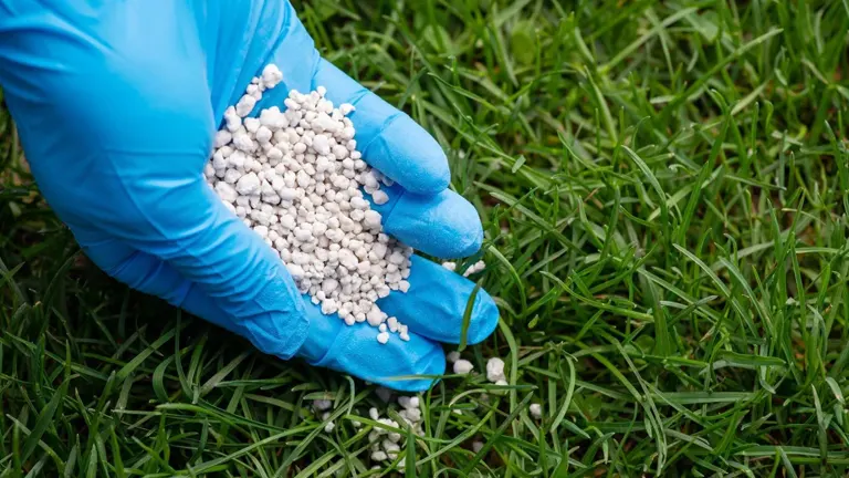 Person putting ferilizer in the grass