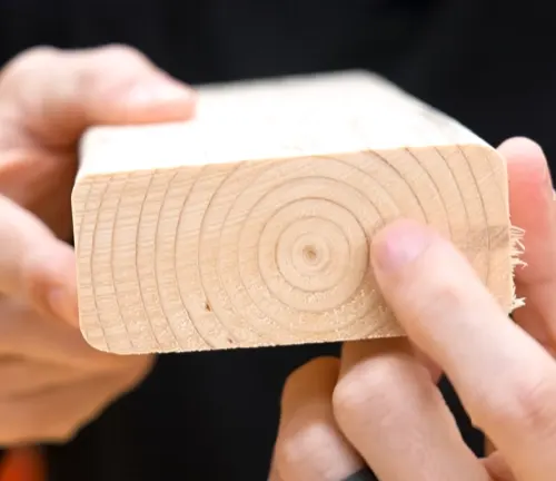 Hands holding and pointing at the end grain of a piece of wood, demonstrating how to check for the pith and grain pattern.