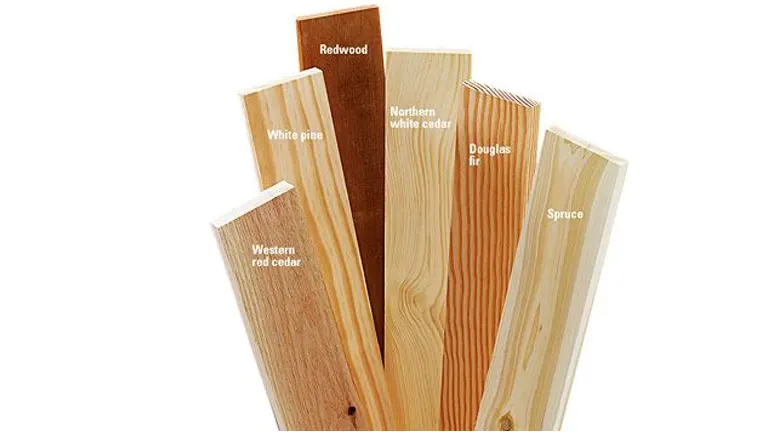 Different wood planks labeled as Redwood, Northern White Cedar, Douglas Fir, Spruce, Western Red Cedar, and White Pine, showcasing various wood species.