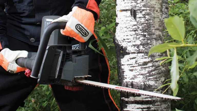 Electric chainsaw cutting through a birch tree trunk in a lush green area.