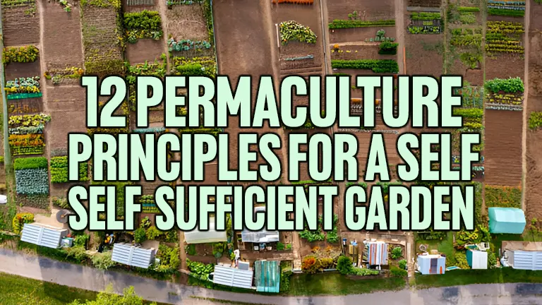 12 Permaculture Principles for a Self-Sufficient Garden
