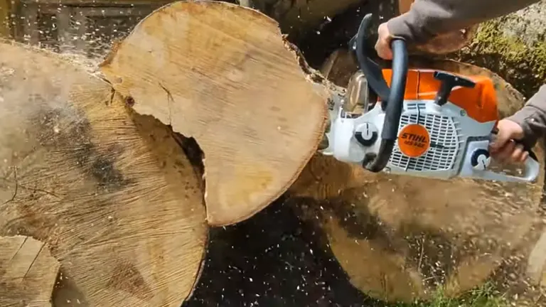 STIHL MS 462 Chainsaw cutting big log 