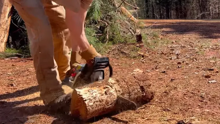 Person cutting through a log on the ground with a Senix gas-powered chainsaw.