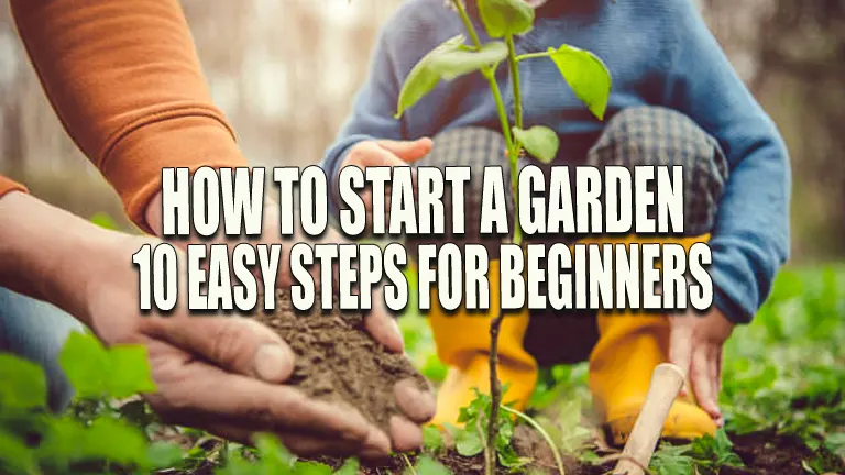 How to Start a Garden: 10 Easy Steps for Beginners