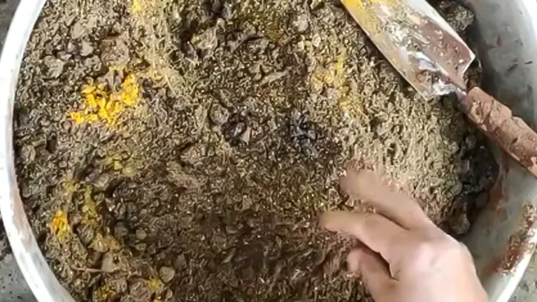 Turmeric powder mixed into soil in a container.