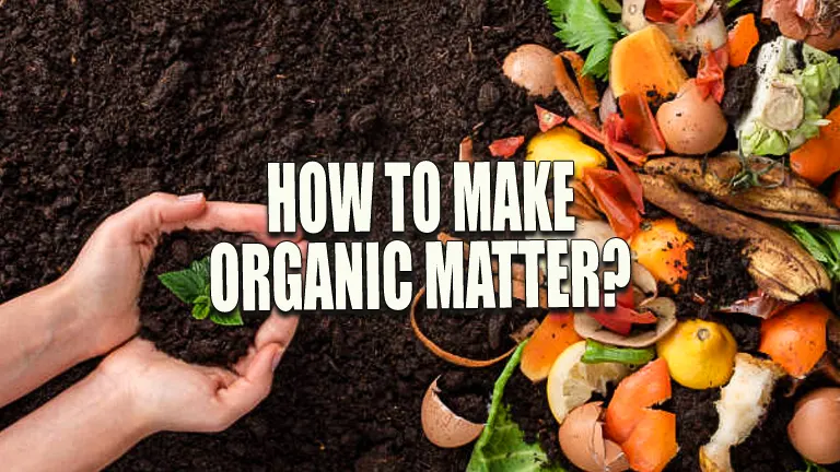 How to Make Organic Matter? Discover the Key to Thriving Plants!