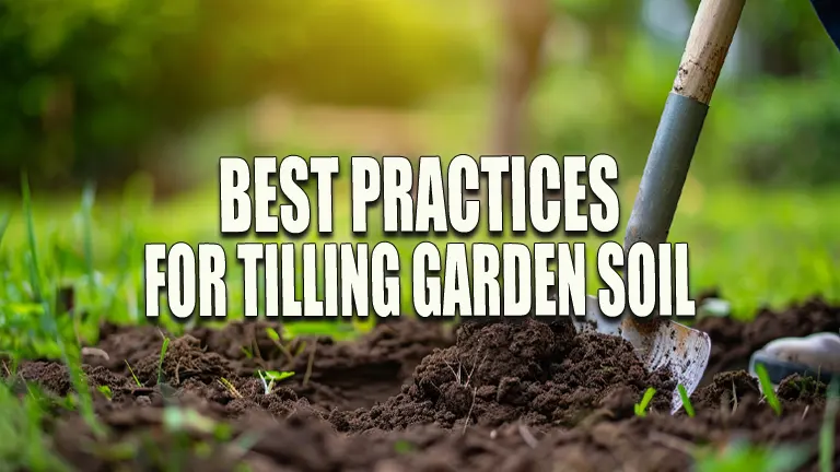 Best Practices for Tilling Garden Soil: Boost Your Garden’s Vitality