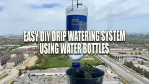 DIY drip watering system using an upside-down water bottle over a plant pot on a balcony, with a cityscape in the background.