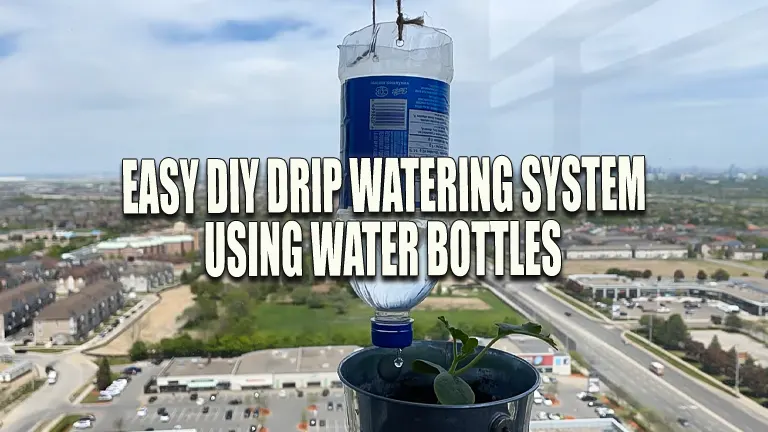 Easy DIY Drip Watering System Using Water Bottles: Garden Hack