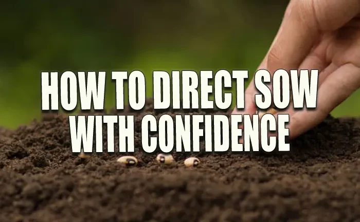 How to Direct Sow with Confidence: Expert Tips for Optimal Outdoor Seeding