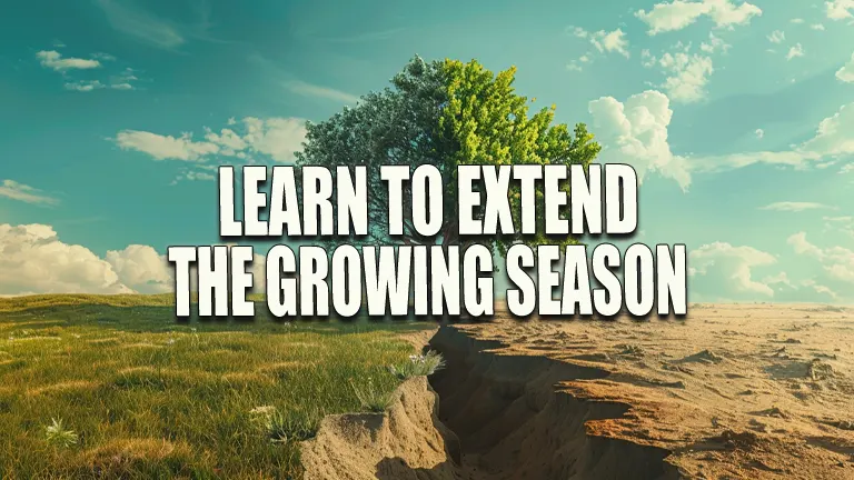 Learn to Extend the Growing Season: Overcome Gardening Challenges