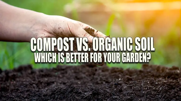 Compost vs. Organic Soil: Which is Better for Your Garden?