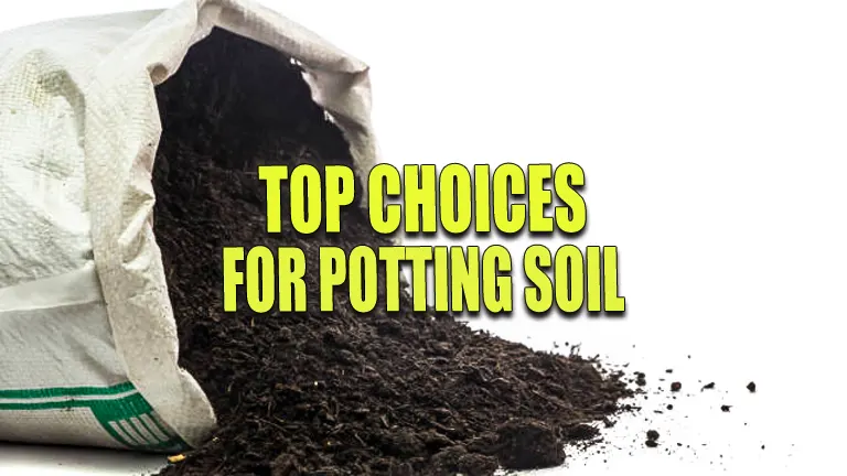 Top Choices for Potting Soil: Master Outdoor Container Gardening Like a Pro