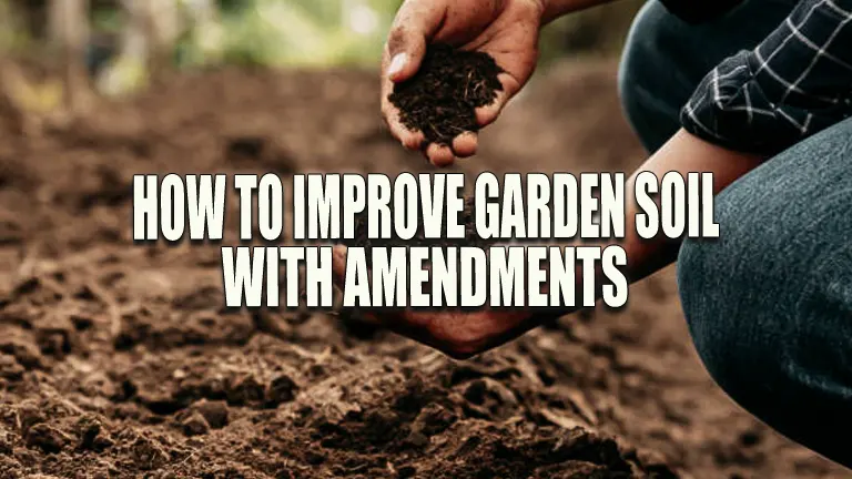 How to Improve Garden Soil With Amendments: Unlock the Secrets to Lush Growth