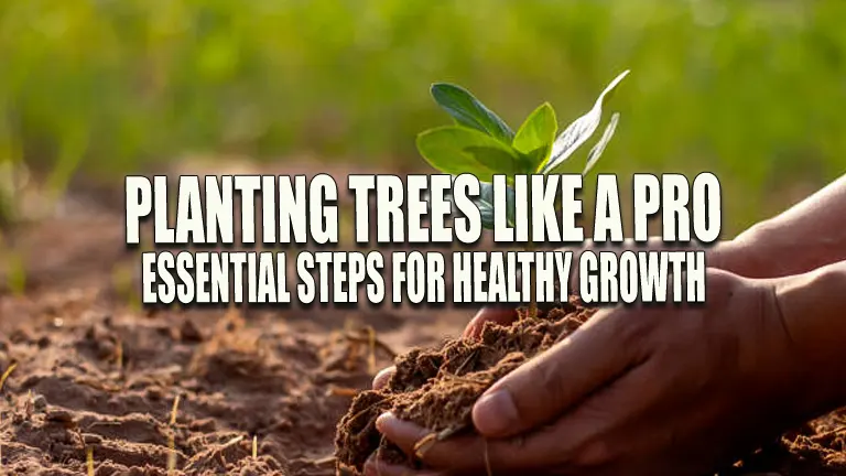 Plant Trees Like a Pro: Essential Steps for Healthy Growth