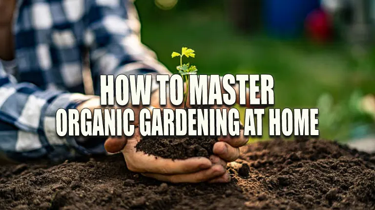 How to Master Organic Gardening at Home: Essential Steps for Success