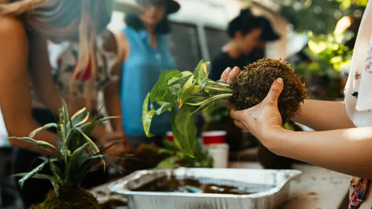 People participating in a workshop, making kokedama with a variety of plants.
