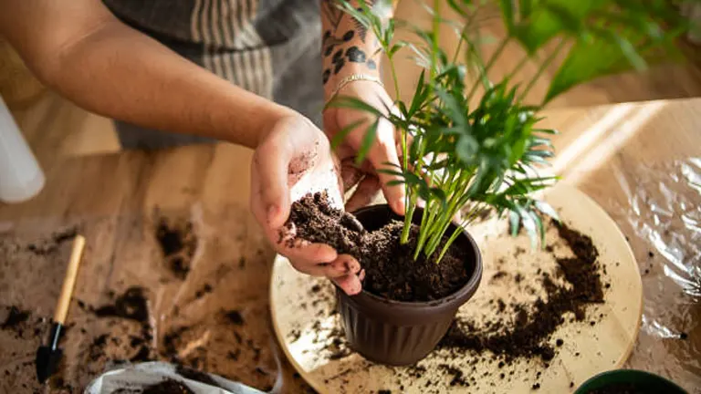 Person potting a small plant into a brown container, with soil scattered around on a wooden table.