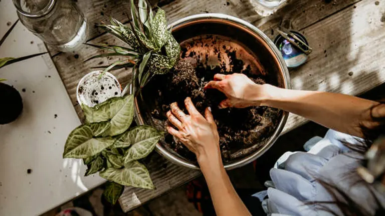 Top view of a person’s hands potting a plant in a metal bowl on a cluttered work surface.