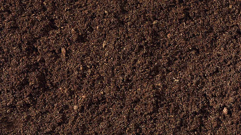 Close-up texture of rich, dark brown soil, suitable for use as a background or texture.