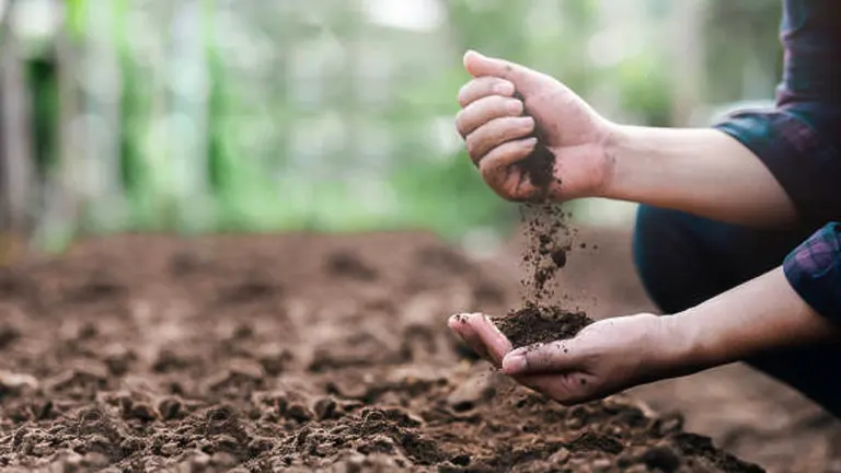 Prepare Your Garden Soil Like a Pro: Techniques for a Successful Planting Season