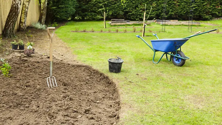 A freshly cultivated garden plot with a fork and spade stuck in the soil, a blue wheelbarrow, and a black bucket nearby, set against a lush green lawn and bordered by a wooden fence.
