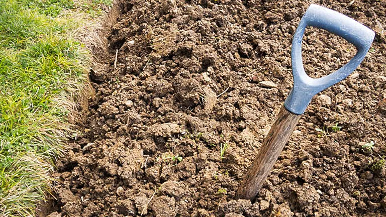 A garden spade embedded in freshly turned, rich soil with visible clumps and small green sprouts, next to a strip of lush green grass.