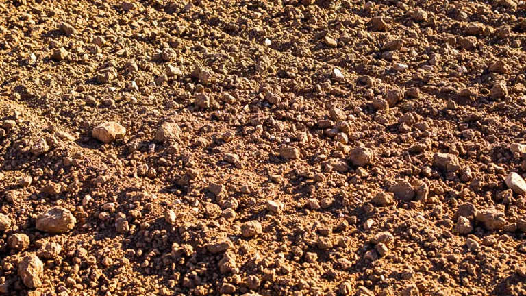 Close-up view of dry, clumpy clay soil with scattered small rocks, illuminated by warm sunlight.