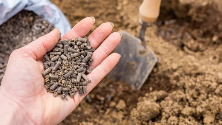 Close-up of a hand holding granular fertilizer above fertile soil with a trowel and soil bag in the background, illustrating soil amendment preparation.