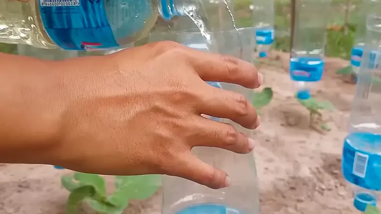 A person's hand filling a repurposed water bottle, mounted upside down, to water a young plant in a greenhouse setting.

