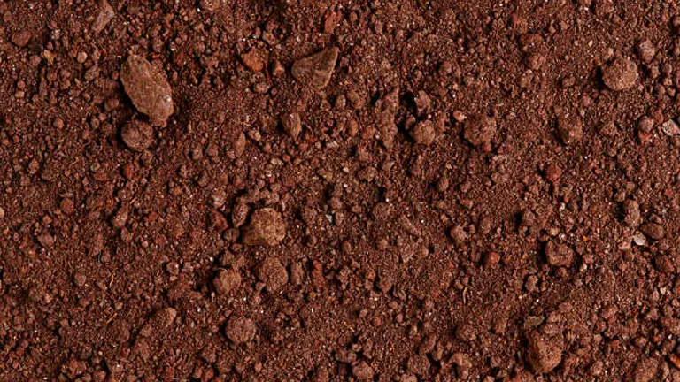 Close-up texture of dark brown soil with visible small rocks and granular details.
