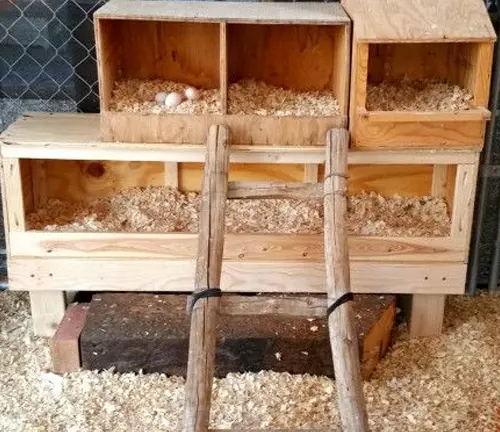 Wooden triple nesting boxes filled with straw, set inside a chicken coop.