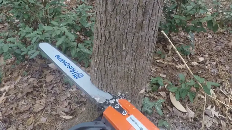 Husqvarna 390 XP chainsaw positioned against a tree, ready to cut.