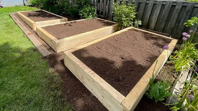 Three empty wooden raised garden beds with fresh soil.
